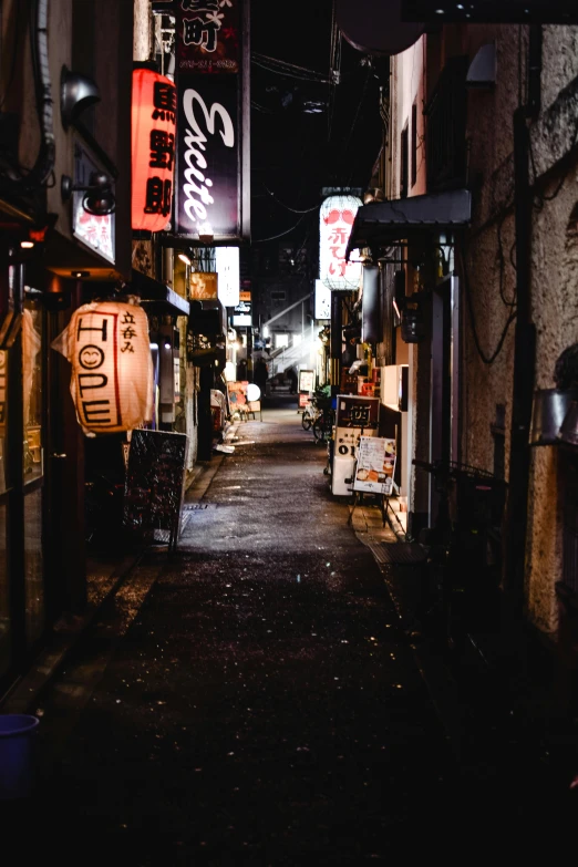 a narrow alley in an asian city at night, a photo, trending on unsplash, ukiyo-e, dimly lit dive bar, grey, a quaint, wide