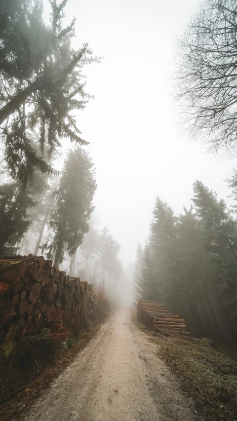 a dirt road surrounded by trees on a foggy day, by Adam Szentpétery, pexels contest winner, romanticism, pine, 4k), high quality photo, brown