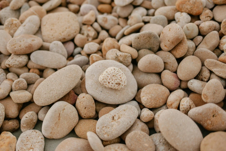 a small rock sitting on top of a pile of rocks, unsplash, minimalism, beige, beans, full shot photograph, coral