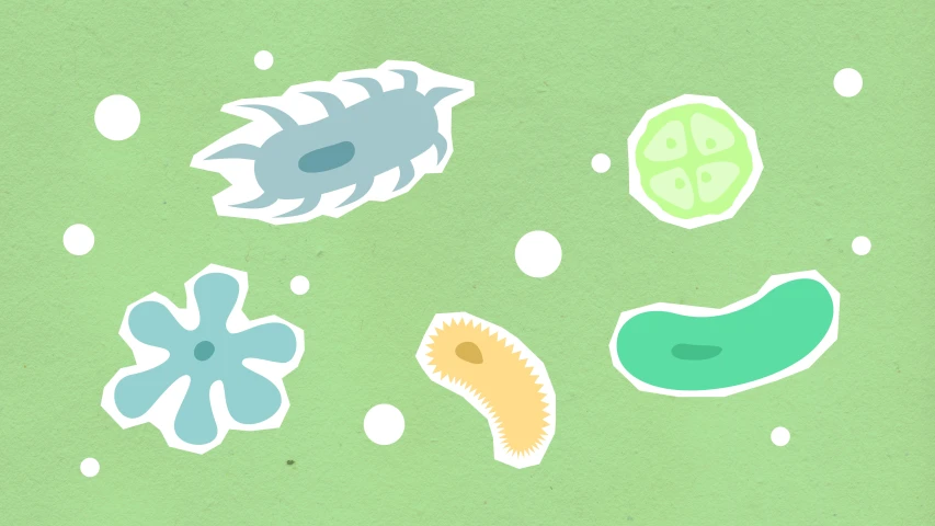 a bunch of stickers sitting on top of a green surface, an illustration of, by Carey Morris, trending on pexels, micro - organisms, soft opalescent membranes, protozoa, on a pale background