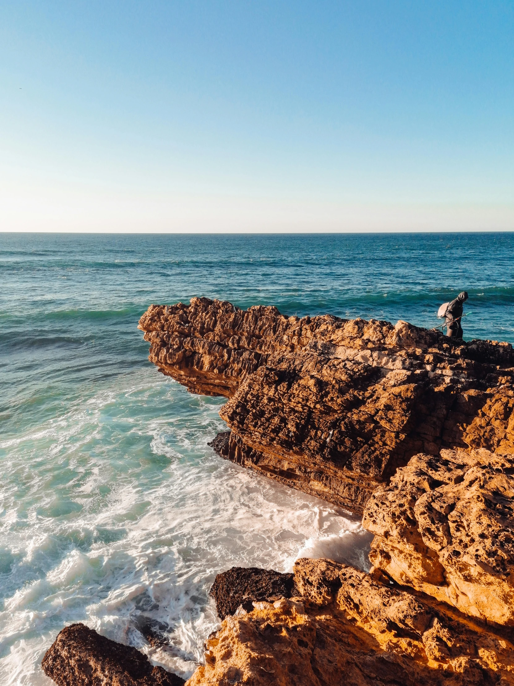 a bird sitting on top of a rock next to the ocean, profile image, epic ultrawide shot, australian beach, standing on a cliff