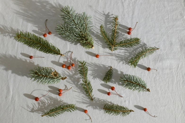 a bunch of pine branches and berries on a table, inspired by Ernest William Christmas, trending on unsplash, assemblage, on a pale background, various sizes, linen, gray and orange colours