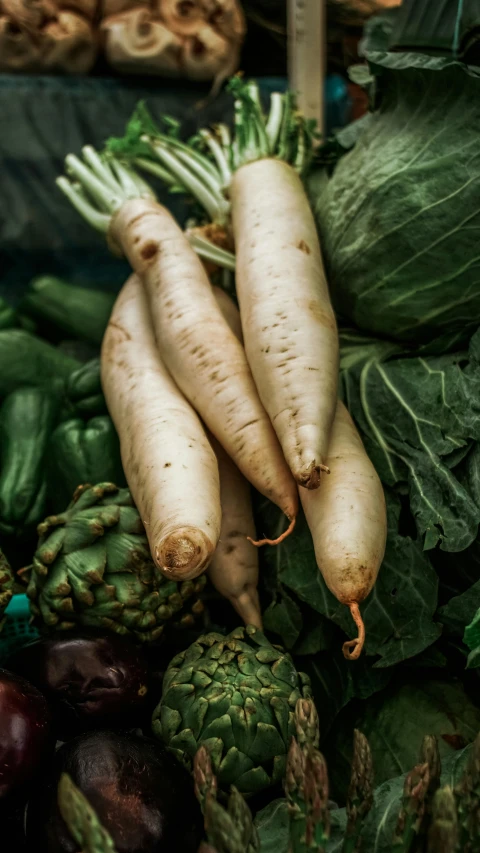 a bunch of vegetables sitting on top of a table, inspired by Harry Haenigsen, unsplash, renaissance, ivory, middle close up shot, low colour, edible