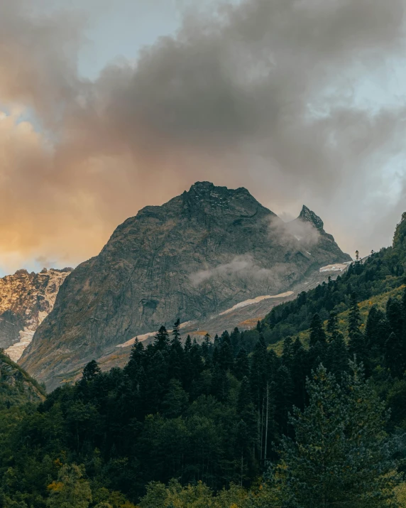 a forest filled with lots of trees next to a mountain, by Sebastian Spreng, unsplash contest winner, glacier, late summer evening, grey, multiple stories