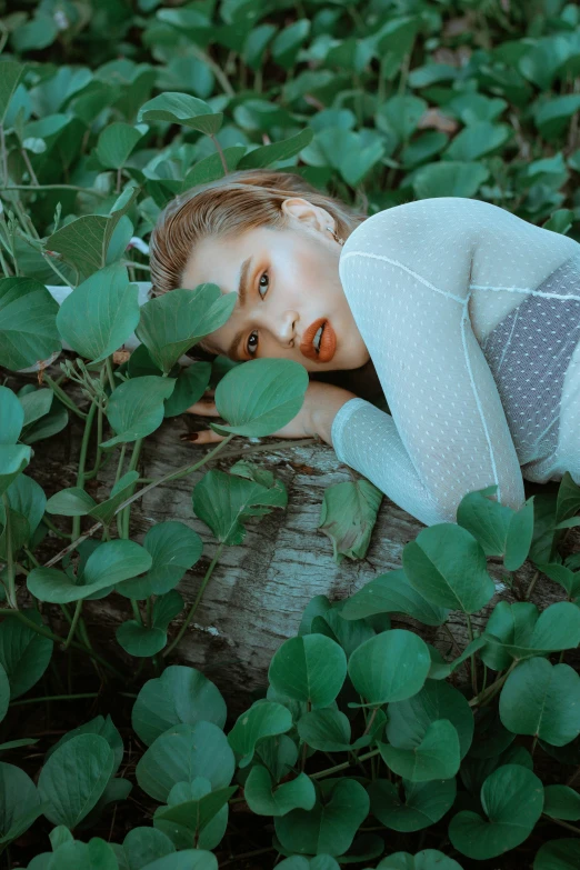 a woman laying on a log in the grass, inspired by Elsa Bleda, unsplash, photorealism, poison ivy, looking seductive, kiko mizuhara, with soft bushes