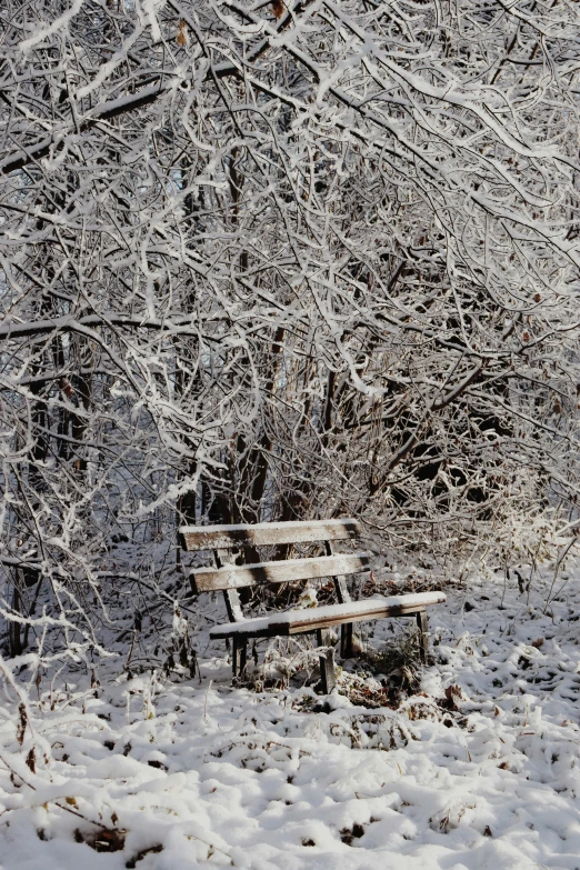 a wooden bench sitting in the middle of a snow covered forest, an album cover, flickr, 2 0 0 4 photograph, panorama, sittin