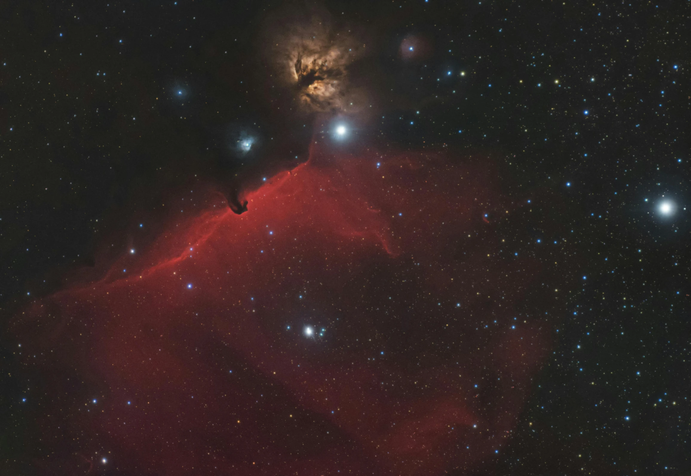 a bright red nebula with stars in the background, a microscopic photo, by Roy Newell, tumblr, 👰 🏇 ❌ 🍃, neck visible, photograph taken in 2 0 2 0, a red dragon