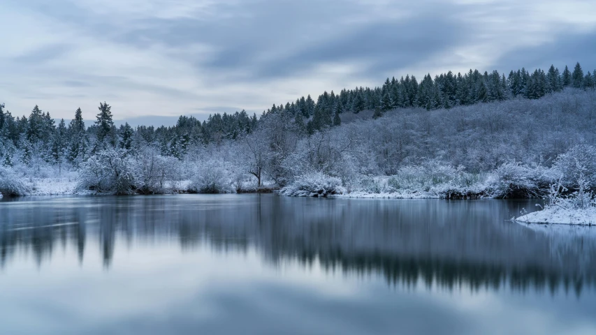 a body of water surrounded by snow covered trees, slide show, paul barson, overcast weather, thumbnail