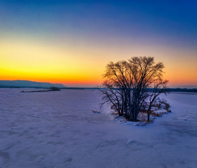 a lone tree in the middle of a snow covered field, pexels contest winner, hudson river school, which shows a beach at sunset, blue