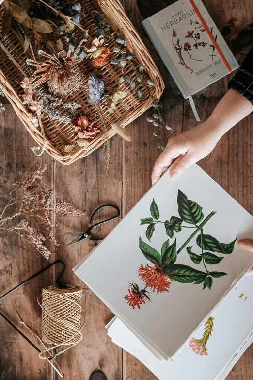 a person holding a book on top of a wooden table, poster art, by Elizabeth Durack, pexels contest winner, process art, herbs and flowers, wicker art, knolling, screen printing