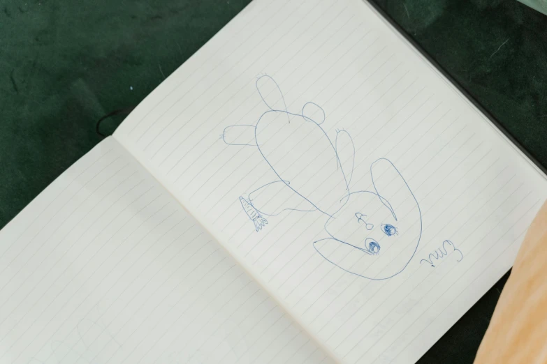 a piece of paper with a drawing of a rabbit on it, a child's drawing, found written in a notebook, a high angle shot, ignant, notebook