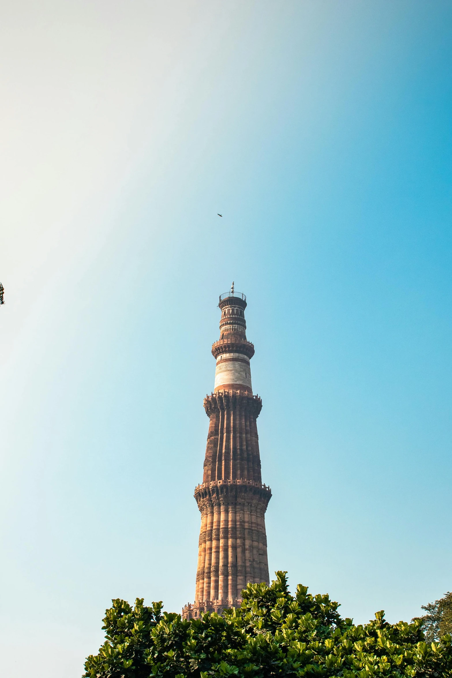 a tall tower towering over a lush green forest, by Rajesh Soni, pexels contest winner, visual art, minarets, blue clear sky, in a city with a rich history, brown