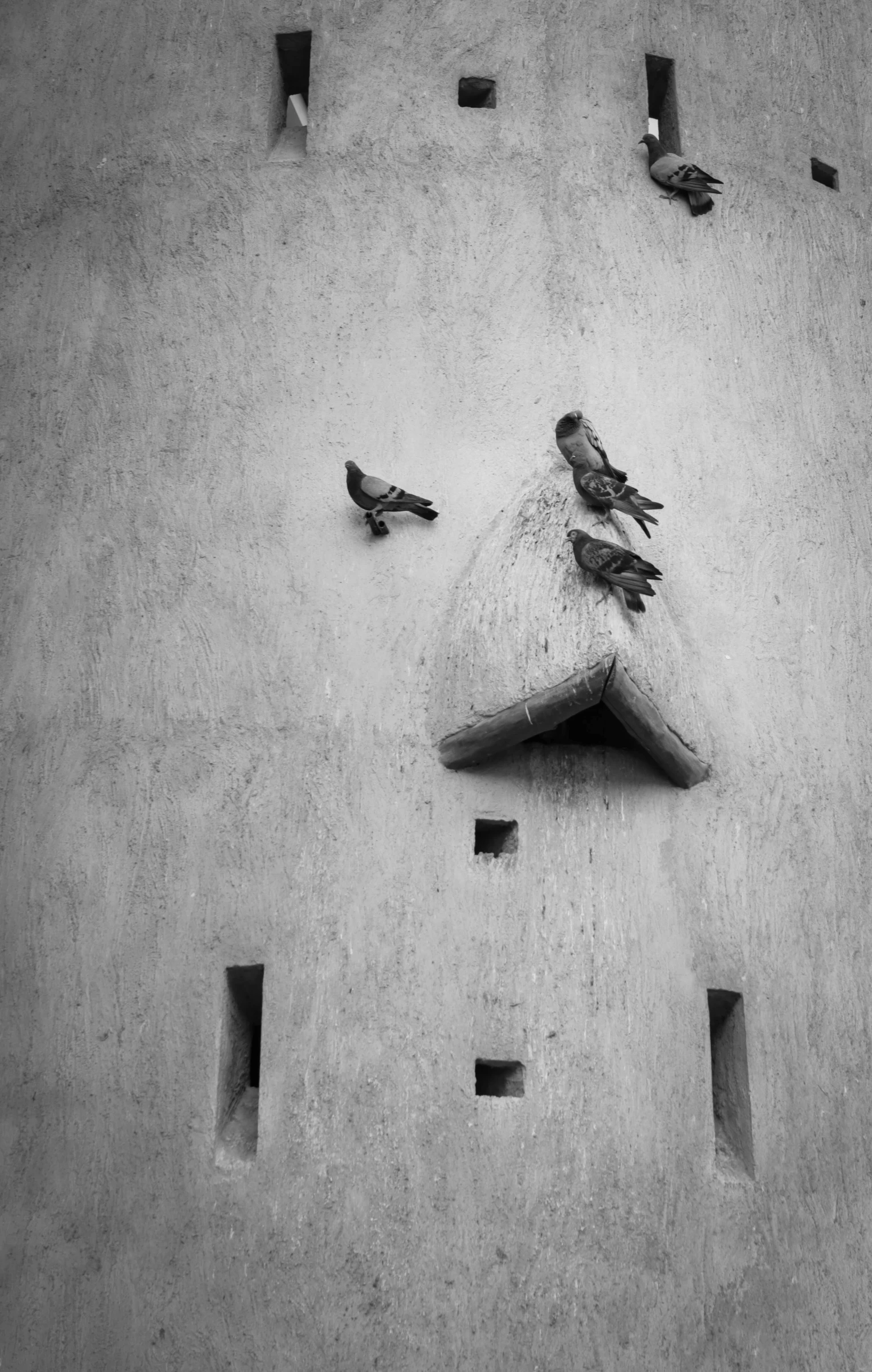 a clock that is on the side of a building, a black and white photo, by Joze Ciuha, concrete art, bird mask, sparrows, funny face, (fantasy)