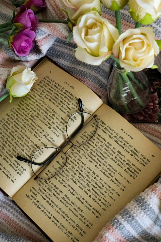 an open book sitting on top of a blanket next to flowers, wearing thin large round glasses, passages, restoration, romantic lead