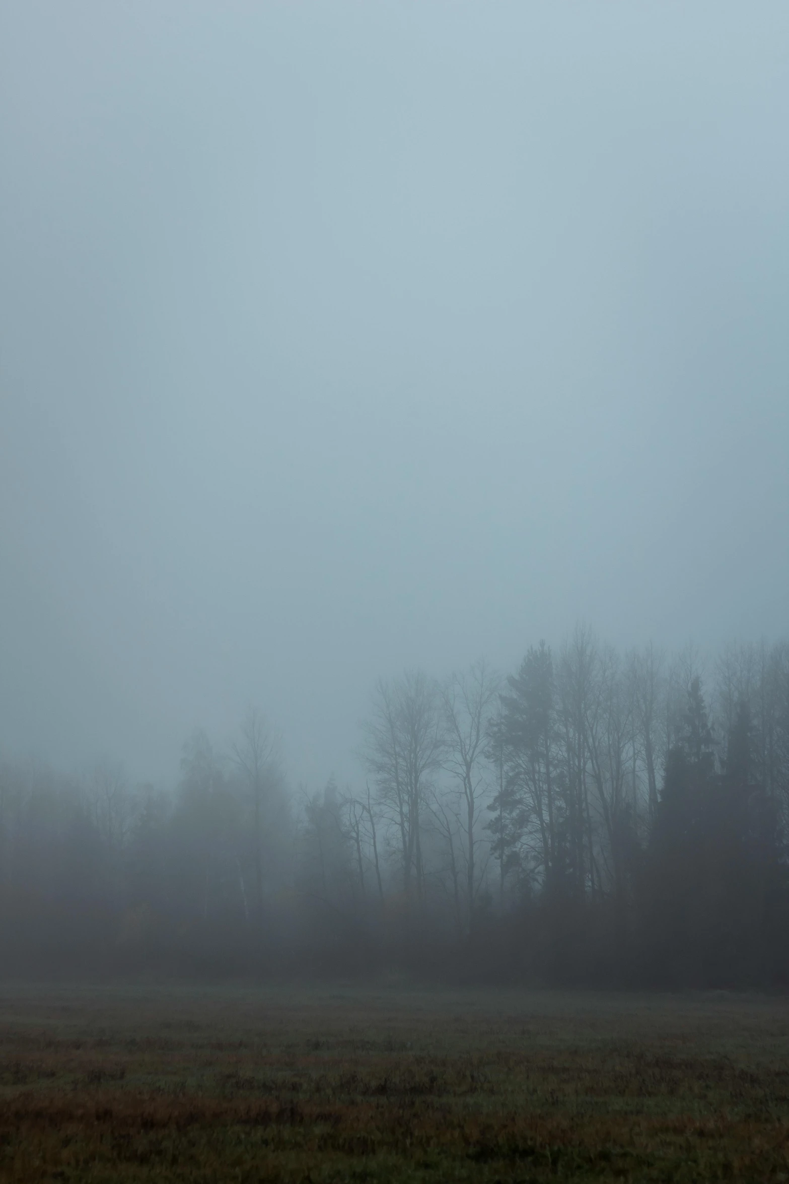 a person flying a kite in a foggy field, a picture, inspired by Gregory Crewdson, tonalism, ominous! landscape of north bend, grey, ((mist))