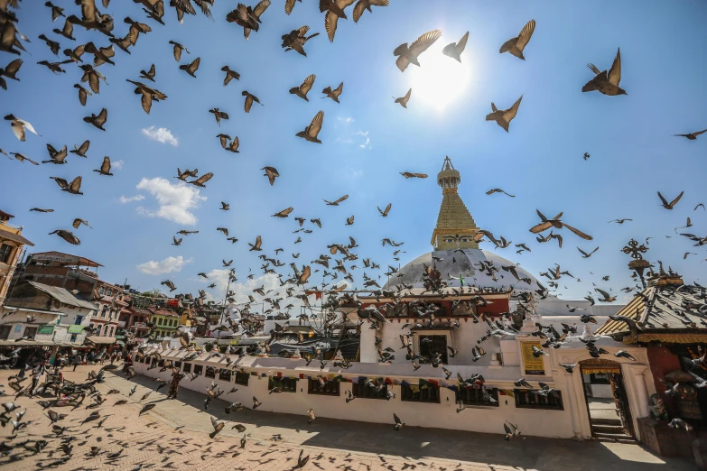 a flock of birds flying over a building, nepali architecture buildings, with the sun shining on it, lpoty, crowded square