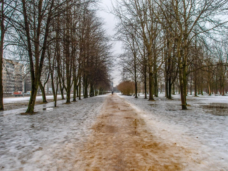 a snow covered path in the middle of a park, pexels contest winner, realism, covered in salt, thumbnail, glasgow, brown