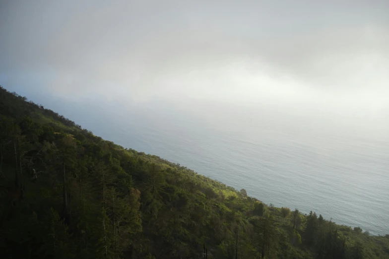 a view of the ocean from the top of a hill, grey mist, verdant gradient, redwood forest, low quality photo