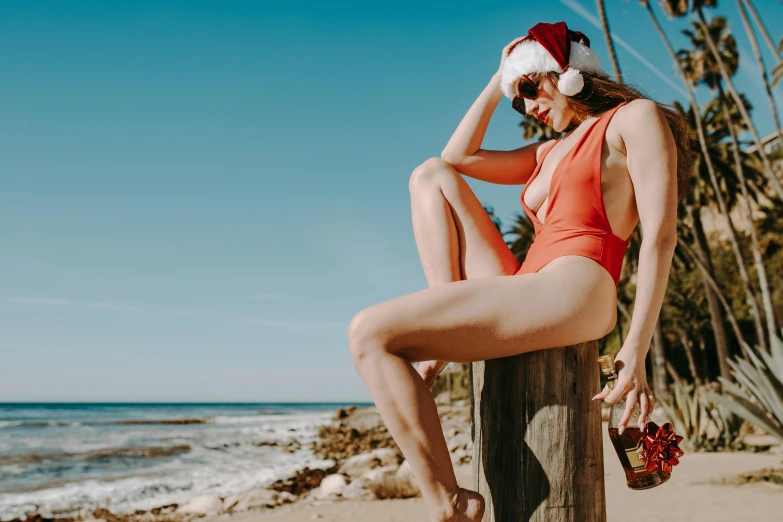 a woman sitting on top of a wooden post on a beach, pexels contest winner, wearing a santa hat, in retro swimsuit, booze, photoshoot for skincare brand