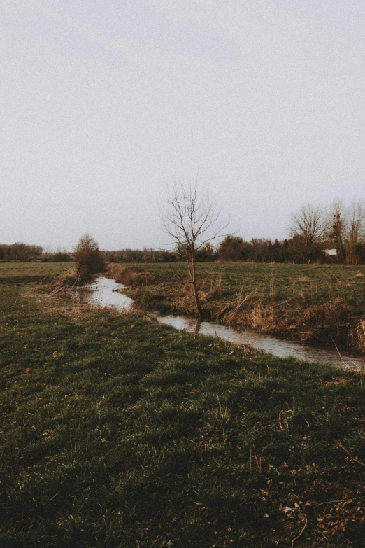 a small stream running through a lush green field, a picture, by Jacob Toorenvliet, unsplash, land art, gloomy mood, next to farm fields and trees, low quality grainy, brown