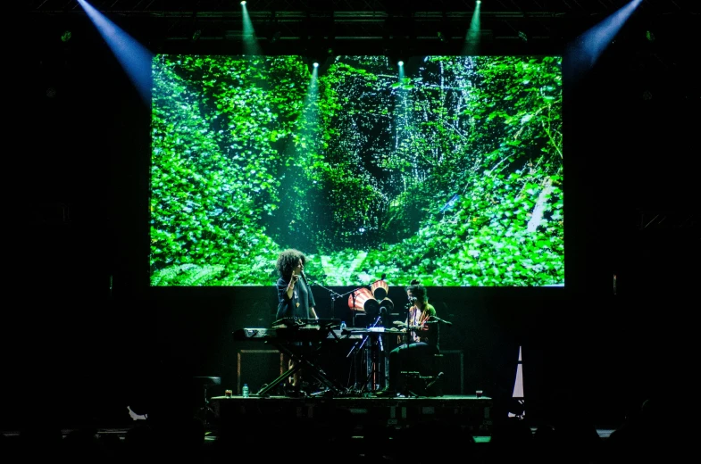 a group of people standing on top of a stage, an album cover, unsplash, vanitas, dark neon colored rainforest, keyboardist, with screens and silks, greenery