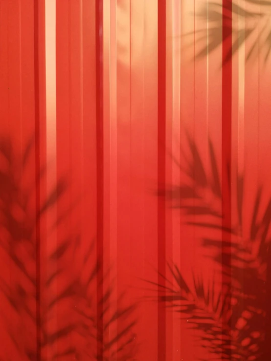 the shadow of a palm tree on a red wall, a digital rendering, by Nathalie Rattner, transparent corrugated glass, gradient red, roman festival backdrop, plants