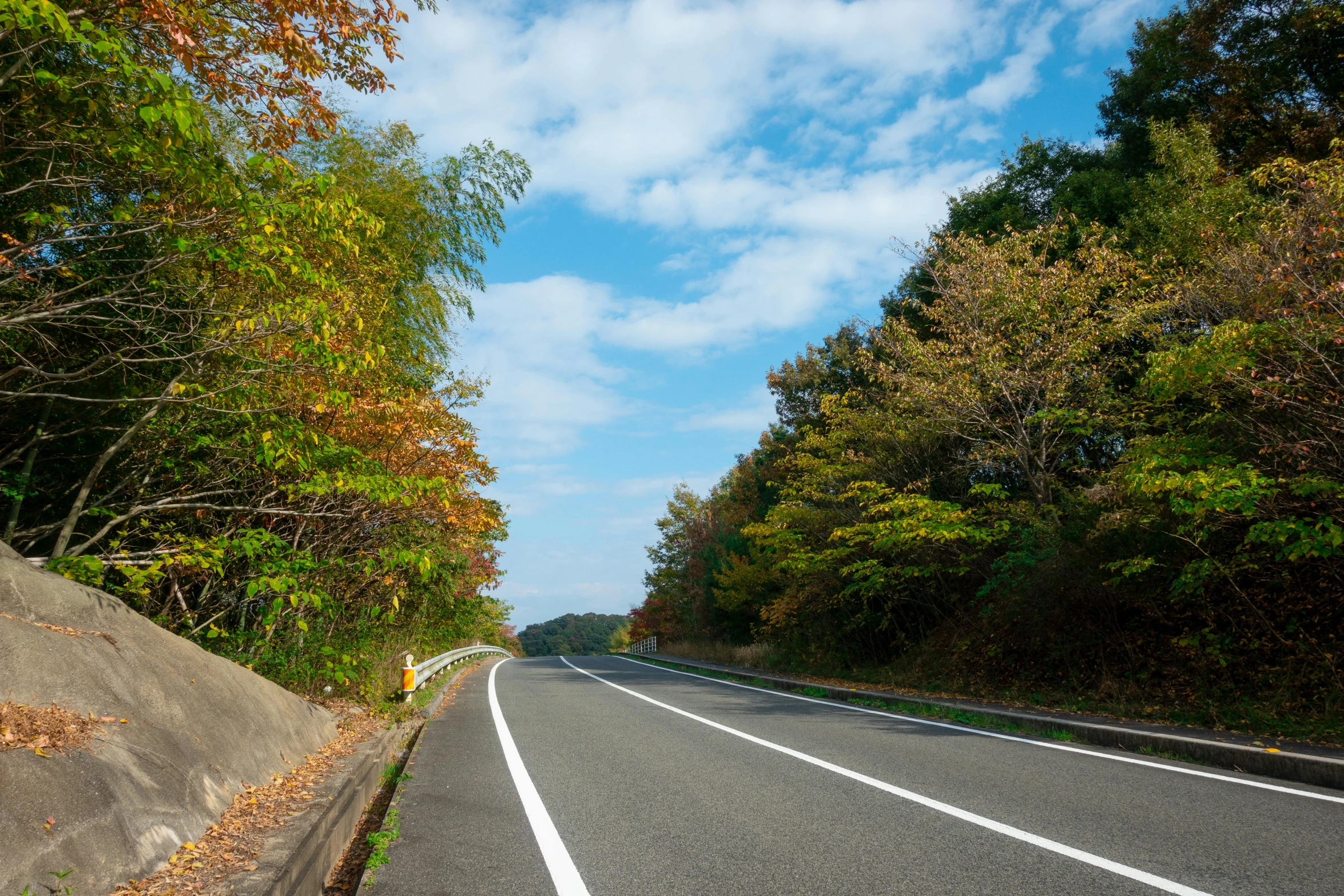 an empty road in the middle of the woods, by Sengai, unsplash, shin hanga, full of colorful vegetation, 2000s photo