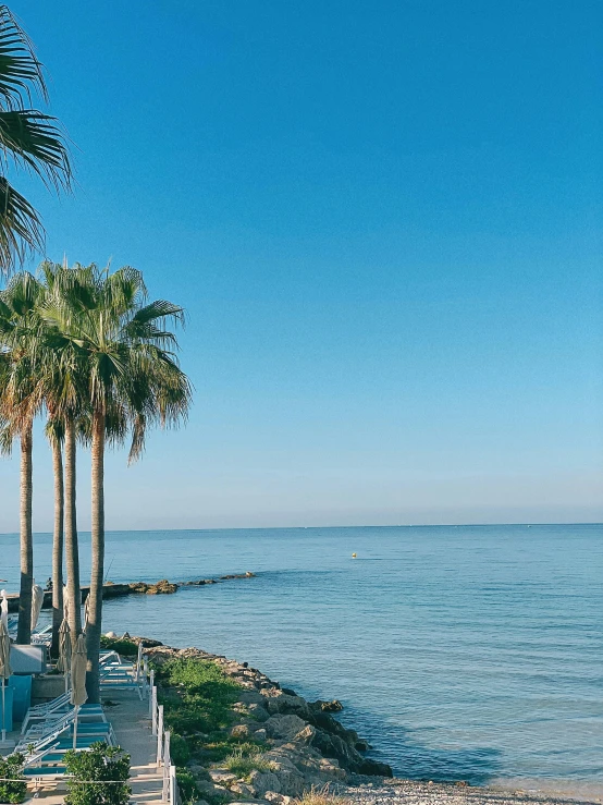 a row of palm trees next to a body of water, at the sea, profile image, marbella, clear blue skies