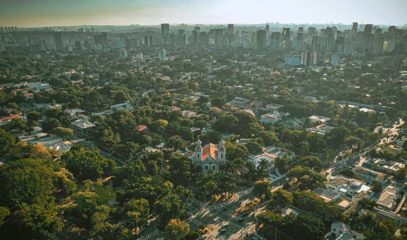 an aerial view of a city with tall buildings, by Sebastian Vrancx, pexels contest winner, cuban setting, background image, city buildings on top of trees, warm light