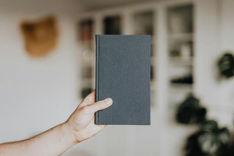 a person holding a book in their hand, unsplash contest winner, private press, flat grey, rectangle, large tall, story book