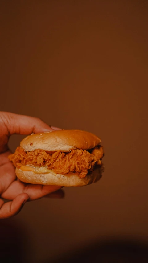 a person holding a sandwich in their hand, pexels, photorealism, fried chicken, caramel. rugged, low quality photo, thumbnail