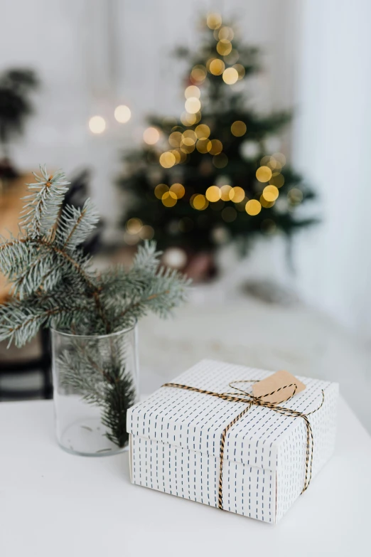 a present sitting on top of a table next to a christmas tree, light and space, pristine and clean, botanicals, tag, multiple stories