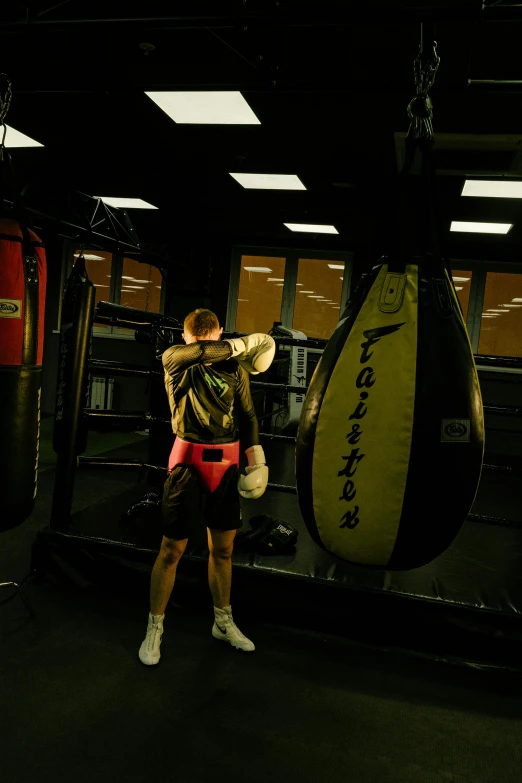 a man standing next to a punching bag in a gym, by Anna Findlay, pexels contest winner, paul barson, sparring, manuka, facing away