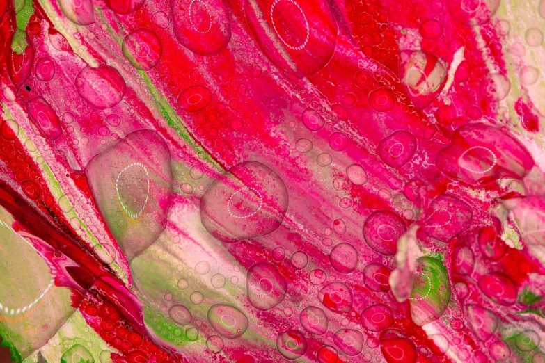 a close up of a red and green painting, a digital rendering, inspired by František Kupka, flickr, process art, soap bubbles, pink petals, hd macro photograph, digital ilustration