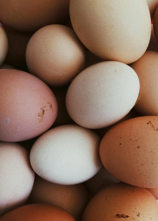 a pile of eggs sitting on top of each other, by Jessie Algie, unsplash, an olive skinned, pastelle colors, medium close up, “organic