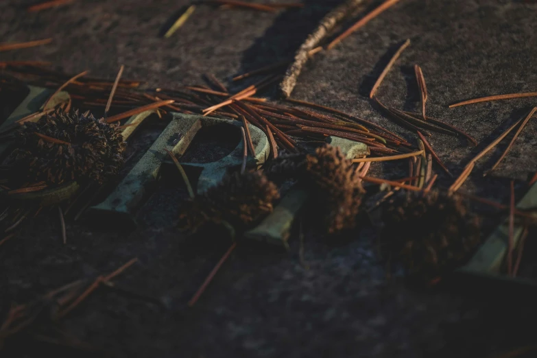 a pair of scissors sitting on top of a piece of wood, unsplash, land art, dried vines, mud and rusty pipes, cinematic outfit photo, runic words