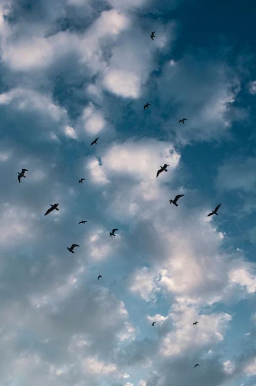 a flock of birds flying through a cloudy sky, by Carey Morris, pexels contest winner, minimalism, deep blue sky, vultures, spaceships in the sky, memories