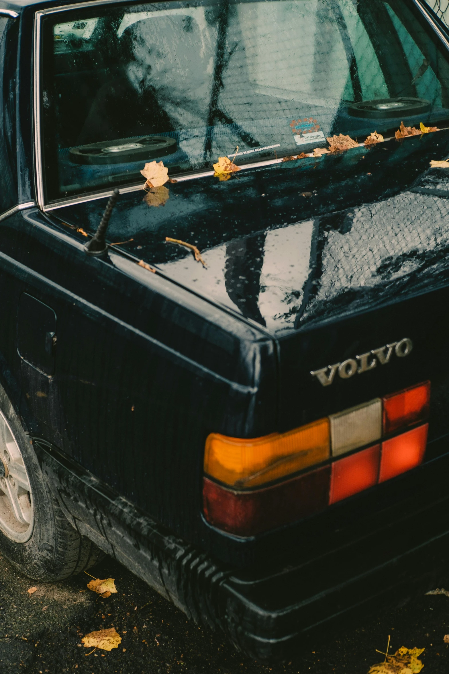 a black car parked on the side of the road, inspired by Elsa Bleda, unsplash, auto-destructive art, yellowed with age, tail lights, square, leafs