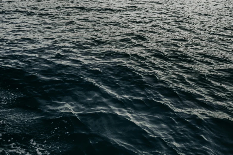 a black and white photo of a body of water, an album cover, by Elsa Bleda, unsplash, deep blue ocean, ignant, early evening, navy