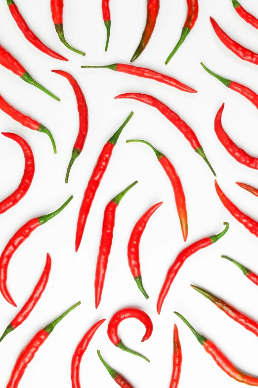 a group of red chili peppers on a white surface, inspired by Jan Müller, trending on pexels, repeating pattern, programming, ilustration, silk