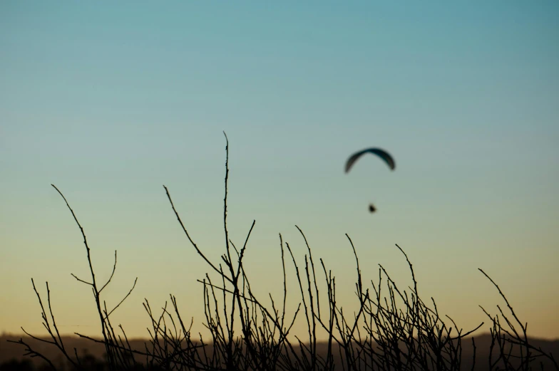 a couple of kites that are flying in the sky, a picture, by Peter Churcher, unsplash, lone silhouette in the distance, twilight ; wide shot, tumbleweeds, zoomed out view