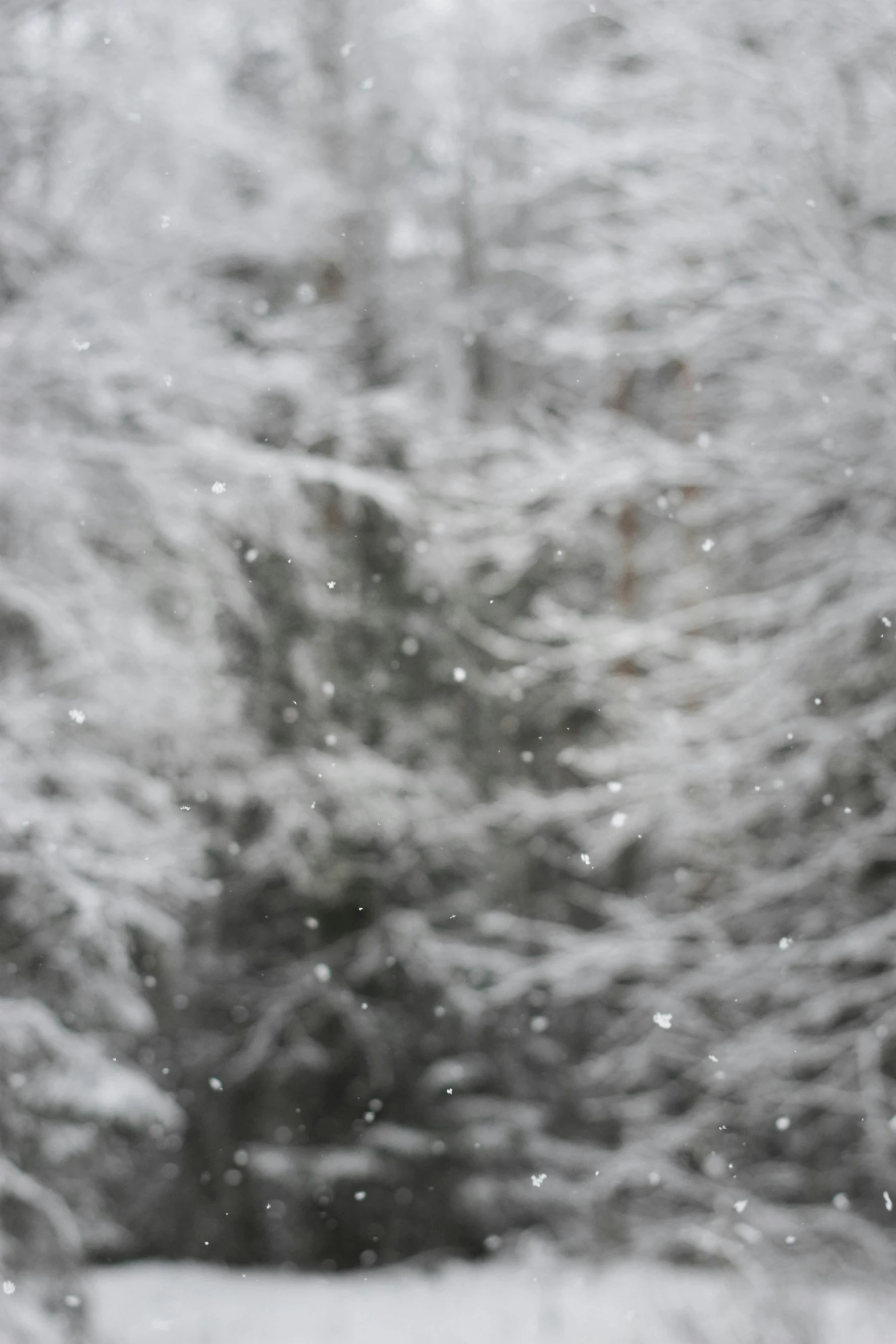 a red fire hydrant sitting in the middle of a snow covered forest, by Grytė Pintukaitė, hurufiyya, detailed 4k photograph, grey, very blurry, photographed for reuters