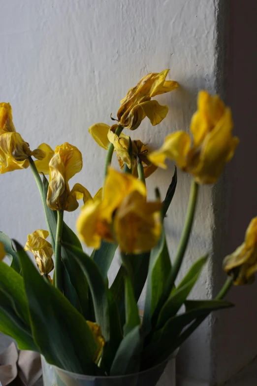 a vase filled with yellow flowers sitting on a window sill, inspired by Anna Ancher, unsplash, romanticism, wide irises, deteriorated, hearts, close up photograph