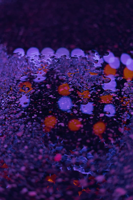 a close up of a puddle of water on a street, a microscopic photo, inspired by Attila Meszlenyi, unsplash, conceptual art, some purple and orange, hasselblad film bokeh, radiating atomic neon corals, dithered