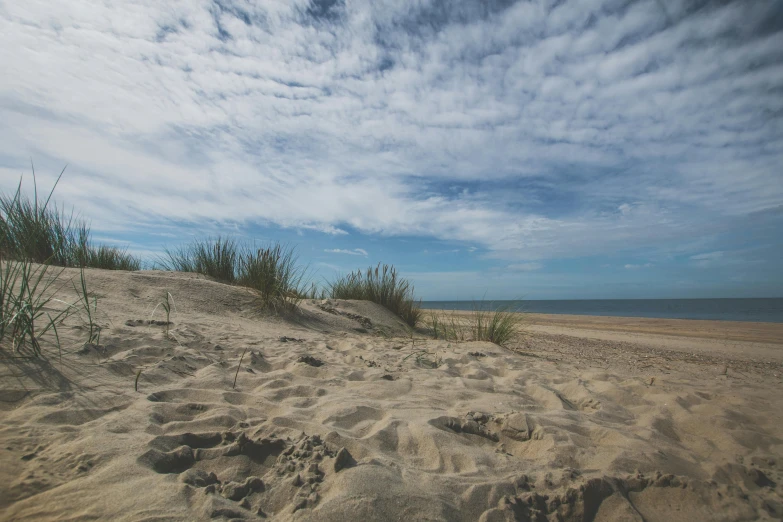 a sandy beach with footprints in the sand, by Andries Stock, unsplash, fan favorite, midlands, summer sky, landscape vista