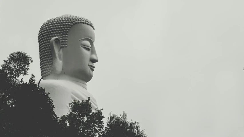 a black and white photo of a buddha statue, unsplash, minimalism, with a tree in the background, large forehead, 🚿🗝📝, qiangshu