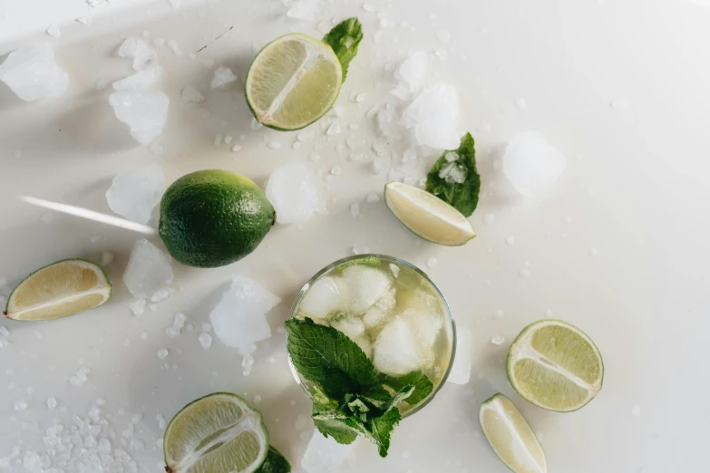 a white plate topped with ice and limes, by Carey Morris, trending on pexels, mint, 🐿🍸🍋, coconuts, scattered glass shards