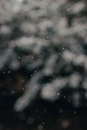a close up of a fire hydrant in the snow, pexels contest winner, blurry footage, dark. no text, flying dust particles, background image