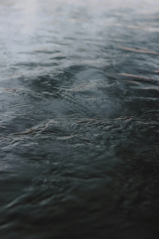 a person riding a surfboard on top of a body of water, unsplash, lyrical abstraction, at evening during rain, black textured, small river, middle close up