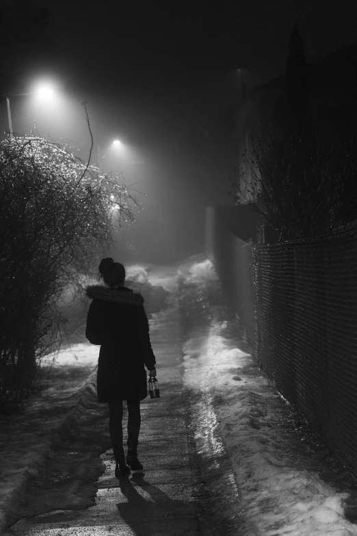 a person walking down a street at night, a black and white photo, pexels contest winner, conceptual art, icy cold pale silent atmosphere, back alley, foggy photo 8 k, mysterious girl